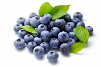 Wild blueberry