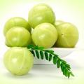 Amazing amla indian gooseberry 1