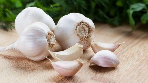 Garlic 620x350 71517566476