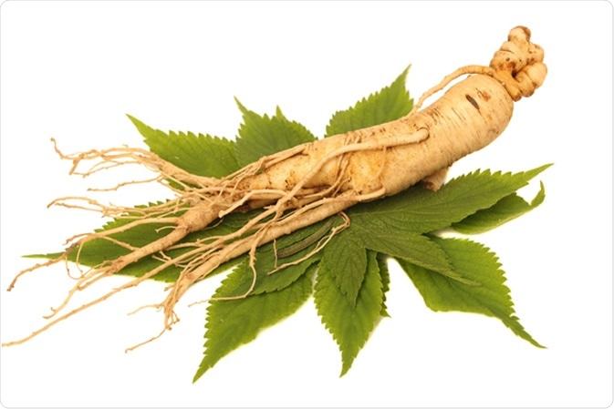 Augmentez la motilité de sperme avec le ginseng