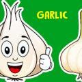 Medicinal value of garlic 1 1024x576 1