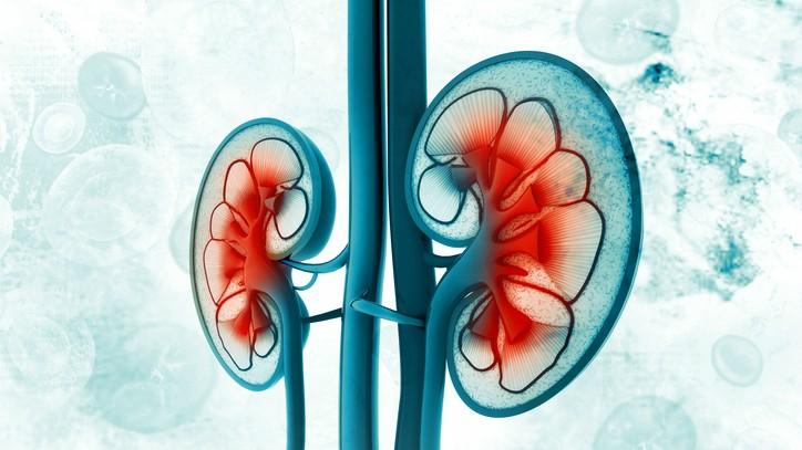 Natural treatment for kidney failure