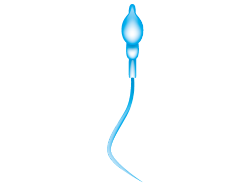 Natural treatment for necrozoospermia dead sperm