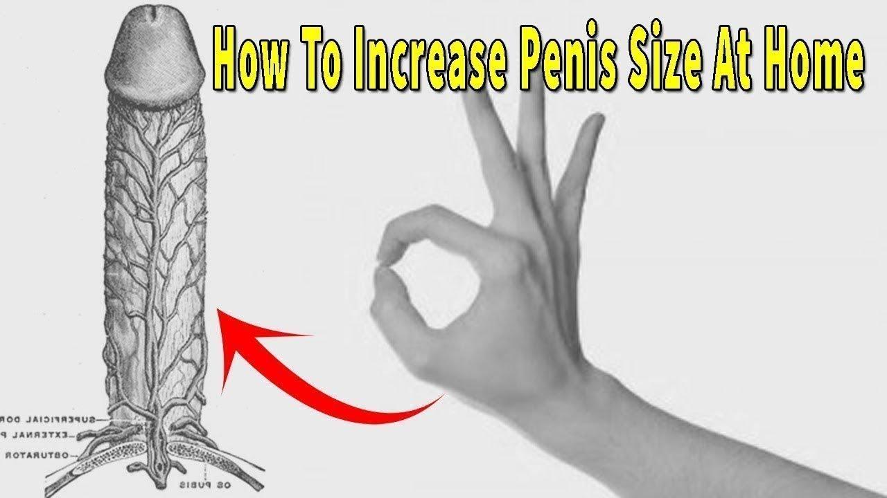 Size of penis